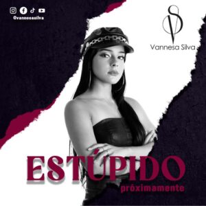 Vannesa Silva - El Estupido Remix
